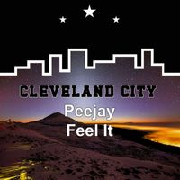 Peejay - Feel It