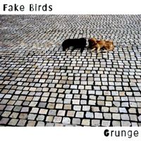 Fake Birds - Grng