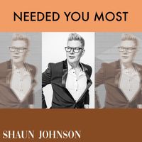 Shaun Johnson Big Band Experience - Just When I Needed You Most
