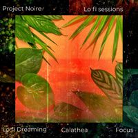 Project Noire - LoFi Sessions