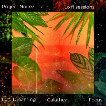 Project Noire - LoFi Sessions