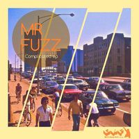 Mr. Fuzz - Complicated