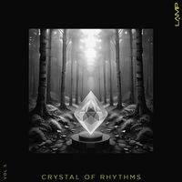 Hard Dive - Crystal of Rhythms, Vol. 5