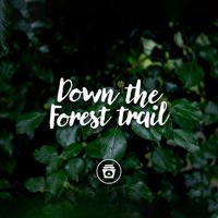ASMR - Down The Forest Trail