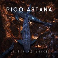 Pico Astana - Listening voice