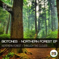 Biotones - Northern Forest