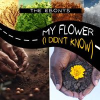 The Ebonys - My Flower (I Didn't Know)