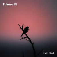 Fukuro III - Eyes Shut