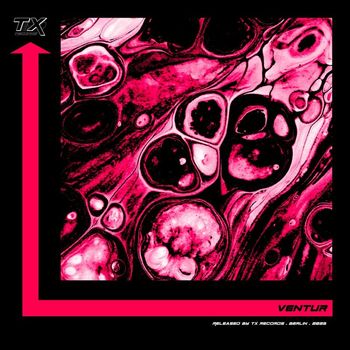 Ventur - Set in Motion