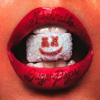 Marshmello - Sugar Papi (Explicit)