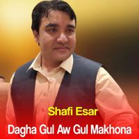 Shafi Esar - Dagha Gul Aw Gul Makhona