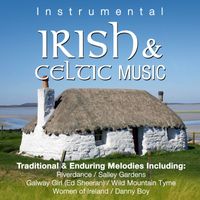 The Columba Minstrels - Instrumental Irish Music