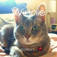 Forest - Winnie