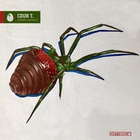 Cour T. - Joker Jungle