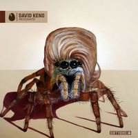 David Keno - Resonate
