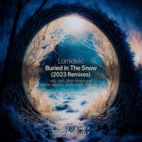 Lumidelic - Buried in the Snow (2023 Remixes)