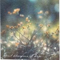 John Woud - April Blossoms of Hope