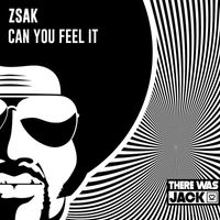 Zsak - Can You Feel It