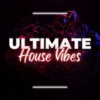 Progressive House - Ultimate House Vibes: Unforgettable Beats & Energizing Melodies