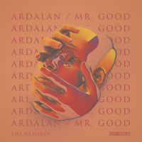 Ardalan - Mr. Good Remixes (Mixed Version)