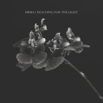 Hema - Reaching For The Light