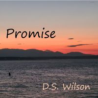 D.S. Wilson - Promise (Explicit)
