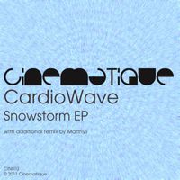 Cardiowave - Snowstorm EP