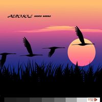 Aerosol - Sesto senso