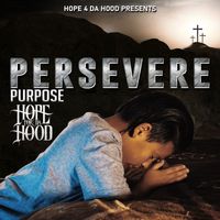 Purpose - Persevere