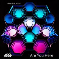 Electronic Youth - Are You Here