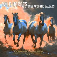 Charlie Harris - Wild Horses- The Stones Acoustic Ballads