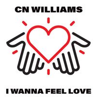 CN Williams - I Wanna Feel Love