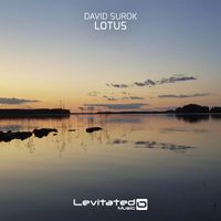 David Surok - Lotus