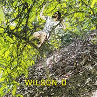 Wilson D - No Te Encuentro