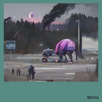 MARLINA - Aircraft Honest