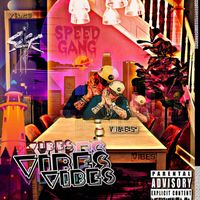 Speed Gang - Vibes (Explicit)