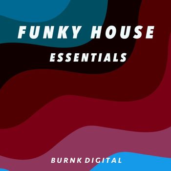 Various Artists - Funky  House Essentials 7