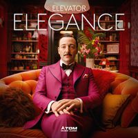 Atom Music Audio - Elevator Elegance