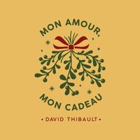 David Thibault - Mon amour, mon cadeau