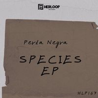 Perla Negra - Species EP