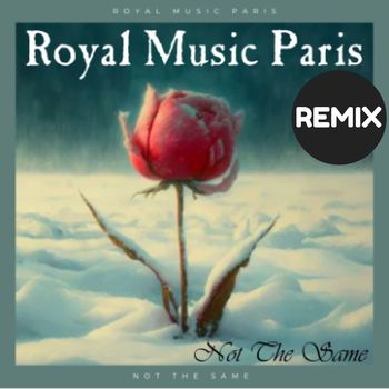 Royal music Paris - Not The Same