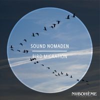 Sound Nomaden - Bird Migration (Acoustic)