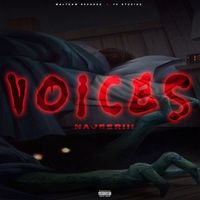 Najeeriii - Voices
