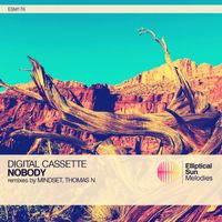 Digital Cassette - Nobody