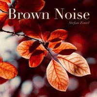 Stefan Zintel - Brown Noise (Static Noise Collection)