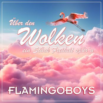 Flamingoboys - Über den Wolken ein Stück Freiheit spür'n
