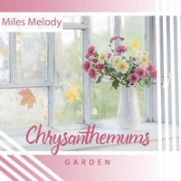 Miles Melody - Chrysanthemums Garden