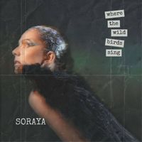 Soraya - where the wild birds sing