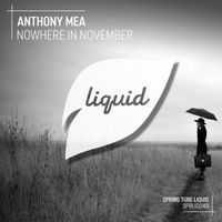 Anthony Mea - Nowhere in November