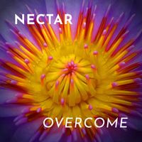 Nectar - Overcome